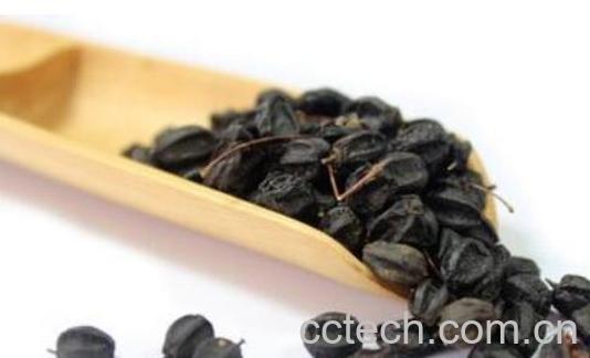 野生刺五加果的食用方法-0