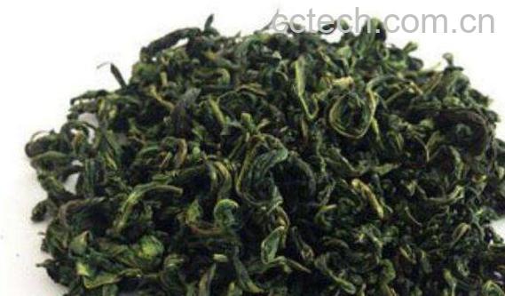 刺五加叶的功效和禁忌-0