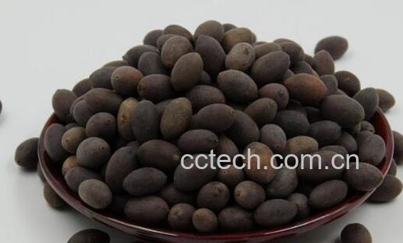 石莲子的功效与作用及禁忌-1