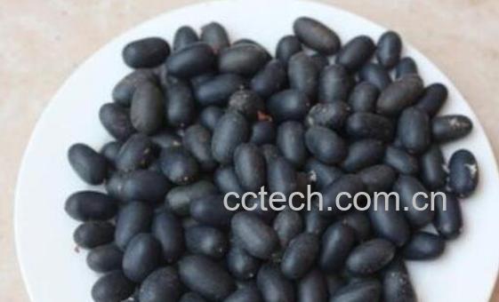 石莲子与莲子的区别 吃莲子的好处-0