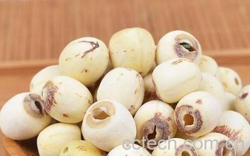 石莲子与莲子的区别 吃莲子的好处-1