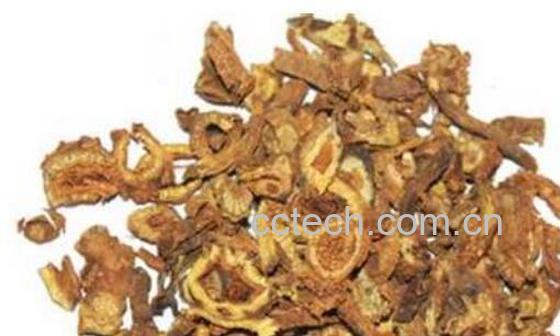 黄连配柴胡的功效作用-0