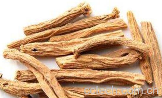 黄连配柴胡的功效作用-1