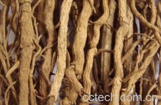 胡椒根泡水喝有什么作用-1