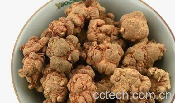 田三七的功效与作用及禁忌-0