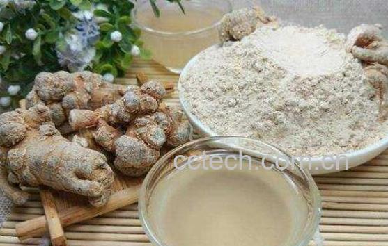 田三七粉的功效与作用及禁忌-1