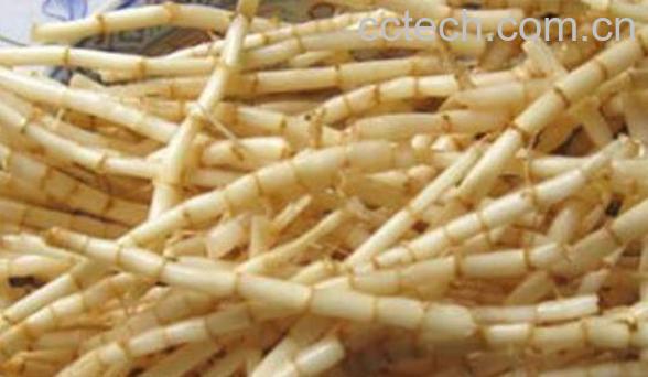 白茅根泡水喝的功效-0