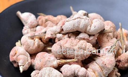 竹黄的功效与作用及禁忌-0