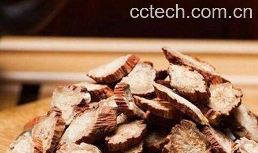  丹参果干的图片功效与作用-0