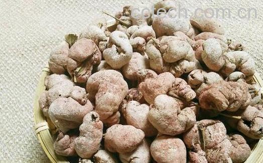 竹黄的功效与作用及禁忌-1