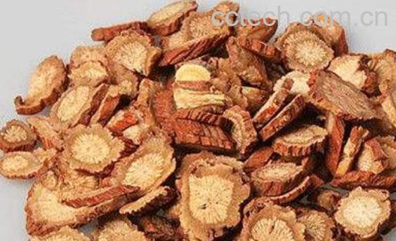 藏丹参和丹参有区别 吃丹参的好处-0