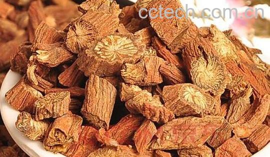  丹参果干的图片功效与作用-1