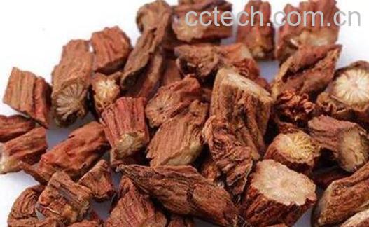 丹参对女性的作用及功效-0