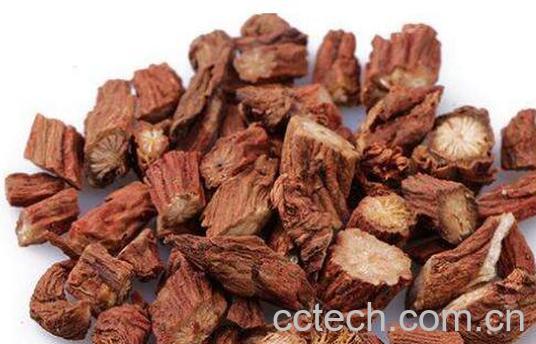 藏丹参和丹参有区别 吃丹参的好处-1