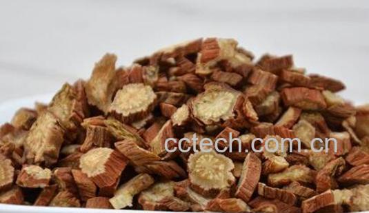 丹参对女性的作用及功效-1