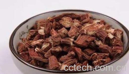 藏丹参的功效与作用及食用方法-0