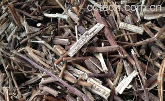 六棱菊根的功效与作用及禁忌-0