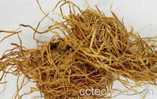 稻草根的药用价值与副作用-0