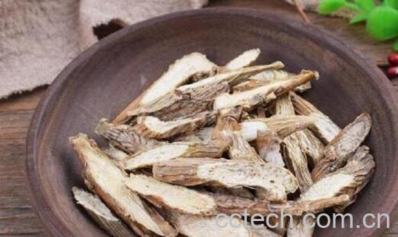 四方藤的功效与作用及禁忌-1