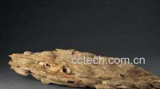 沉香木的功效与作用及药用价值-1