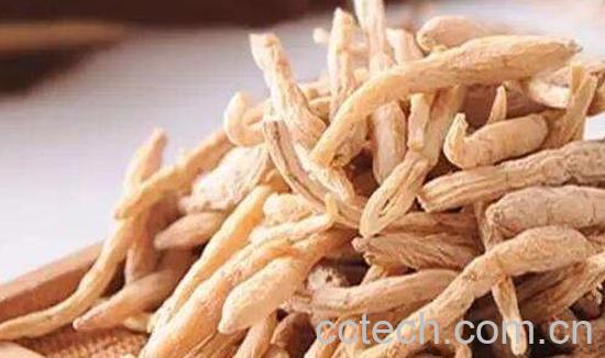 太子参的功效与作用 太子参的副作用-0