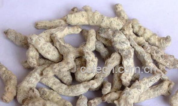 灸僵蚕的功效与作用及禁忌-1