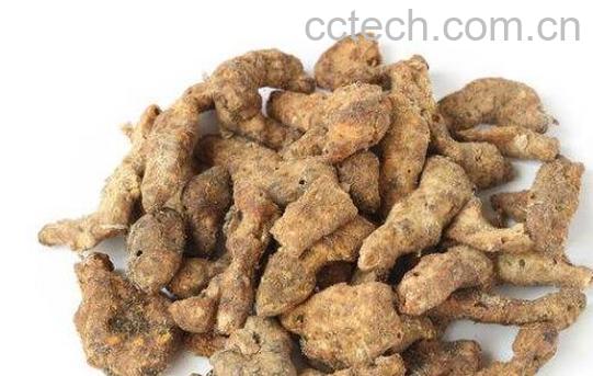 灸僵蚕的功效与作用 灸僵蚕的副作用-1