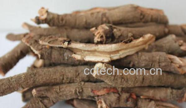 牡丹皮的主要功效与副作用-0