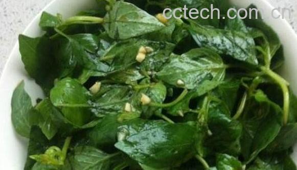 荆芥花怎么吃 荆芥花的食用方法-0