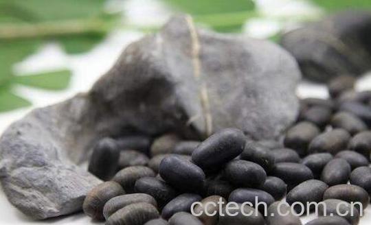 苦石莲子的功效与作用-0
