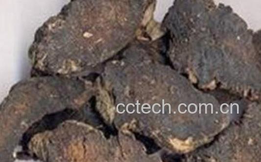 生地黄和熟地黄的区别-0