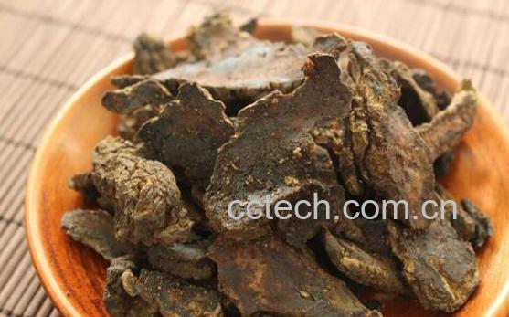 生地黄的功效与作用及副作用-1