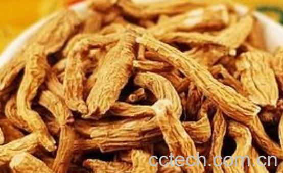 藏雪参的中医功效与作用-0