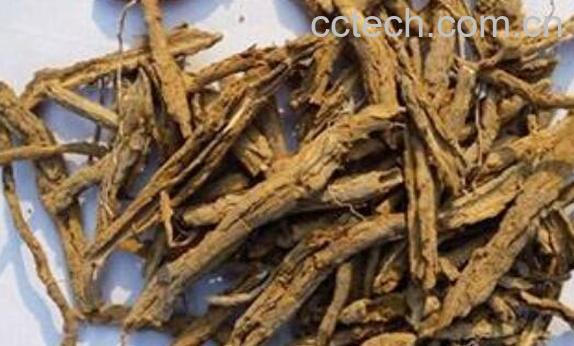 地骨皮泡水喝的功效-0