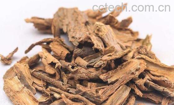 地骨皮的功效与作用 地骨皮的禁忌-1