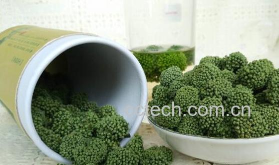 三七花泡水喝的功效 三七花泡水喝的好处-0