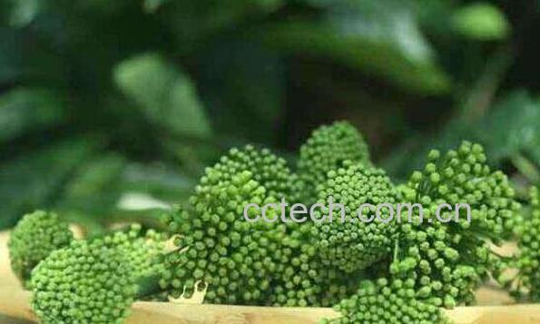 三七花泡水喝的功效 三七花泡水喝的好处-1