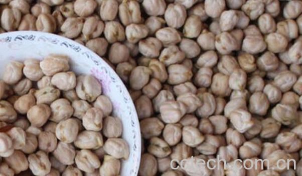 天麻与天麻子的区别 天麻的功效与作用-1