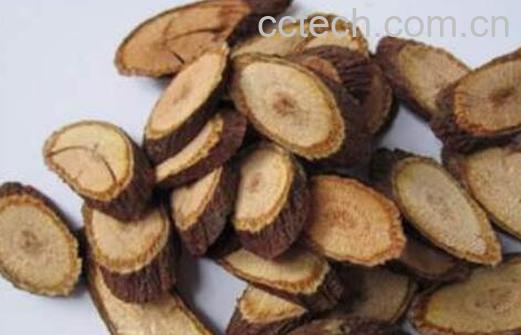 何首乌藤泡水喝的功效-1