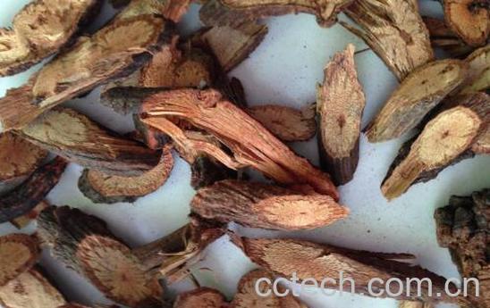 何首乌藤泡水喝的功效与作用 何首乌藤泡水喝怎么泡-0