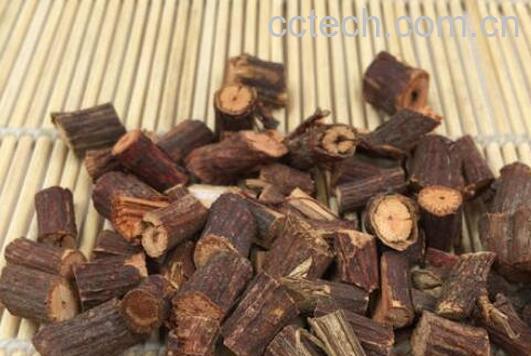 何首乌藤泡水喝的功效与作用 何首乌藤泡水喝怎么泡-1