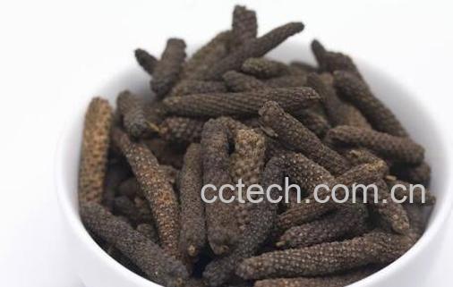 中药荜茇的功效与作用 荜茇的副作用有哪些-1