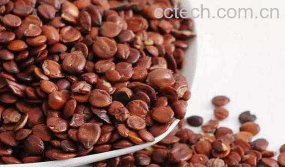 枣仁粉的功效与作用 枣仁粉怎么吃-0