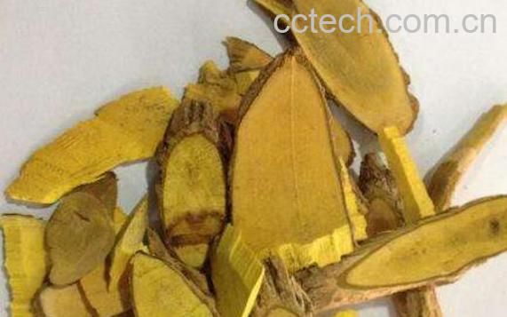 土黄连的功效与作用-0