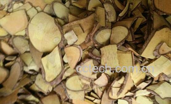 木黄连的功效与作用-1