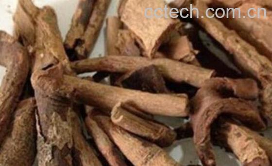 土荆皮的功效与作用及禁忌-0