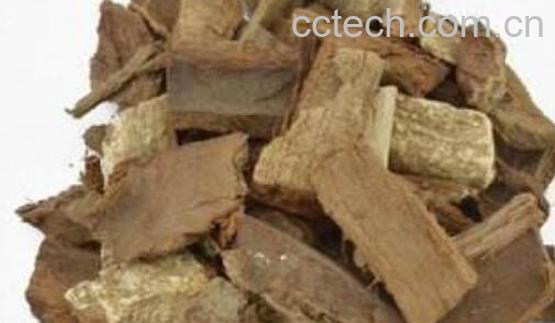 土荆皮的功效与作用及禁忌-1