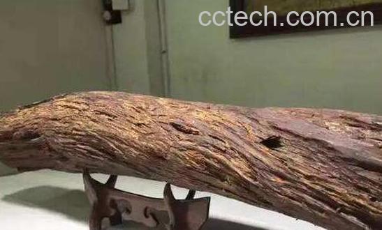 土沉香的功效与作用 土沉香有毒没-0