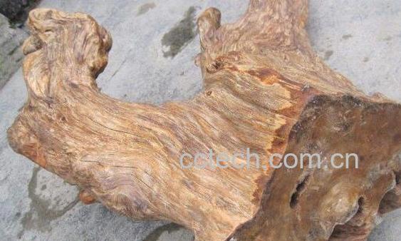 土沉香的功效与作用 土沉香有毒没-1