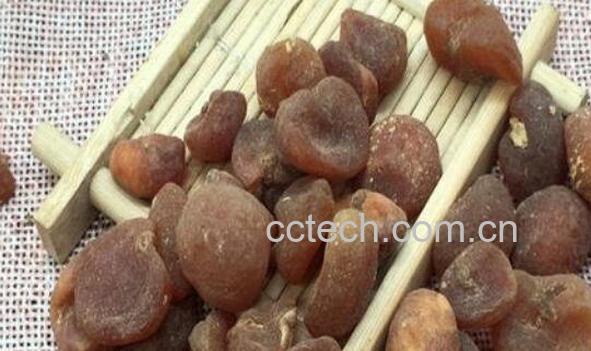 土贝母的食用方法 土贝母能泡水喝吗-1